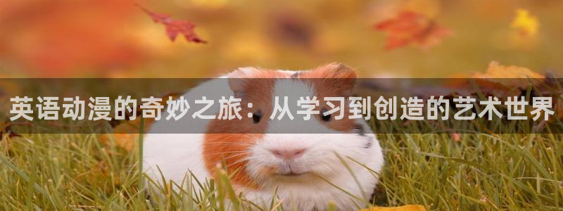 91动漫破解版nba下载