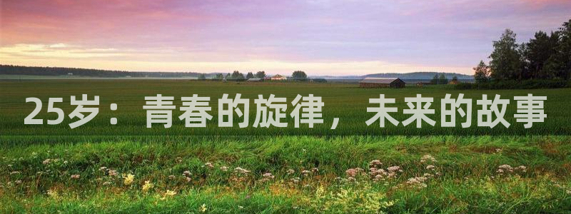 91动漫视频免费观看：25岁：青春的旋律，未来的故事