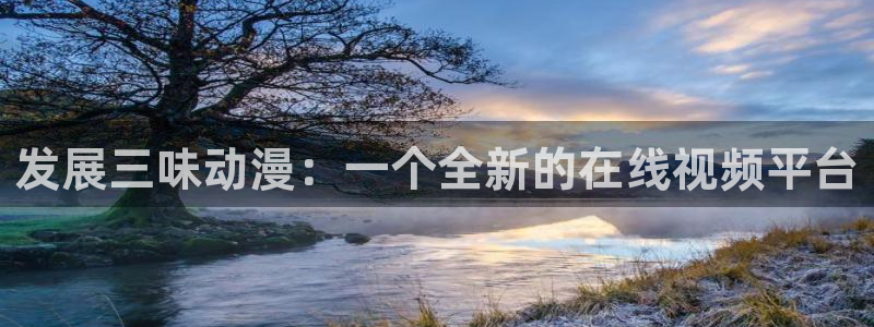 91动漫免费观看：发展三味动漫：一个全新的在线视频平台