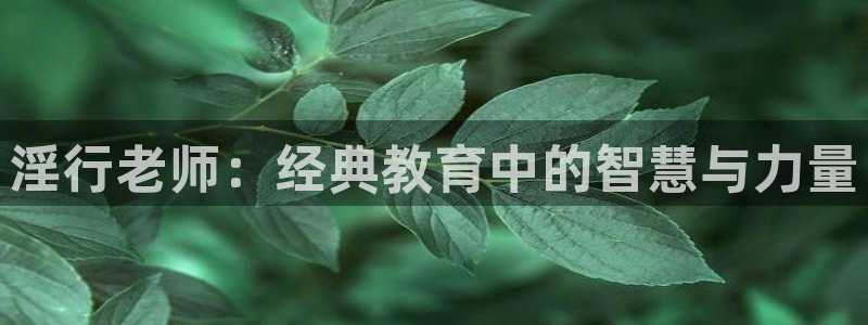 91动漫小视频