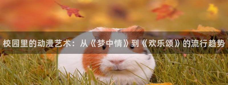 在线观看91动漫