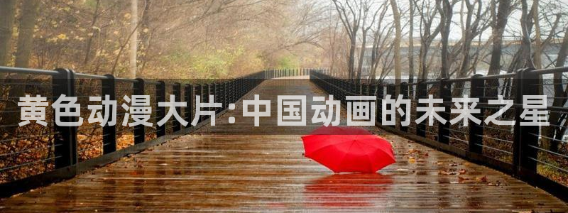 91动漫 ios：黄色动漫大片:中国动画的未来之星